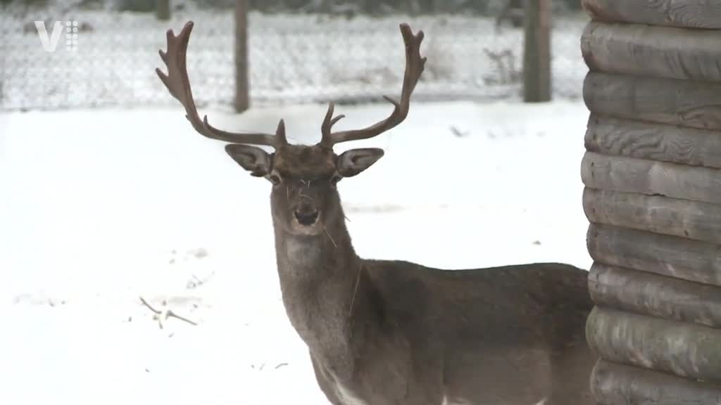 Východočeské zprávy