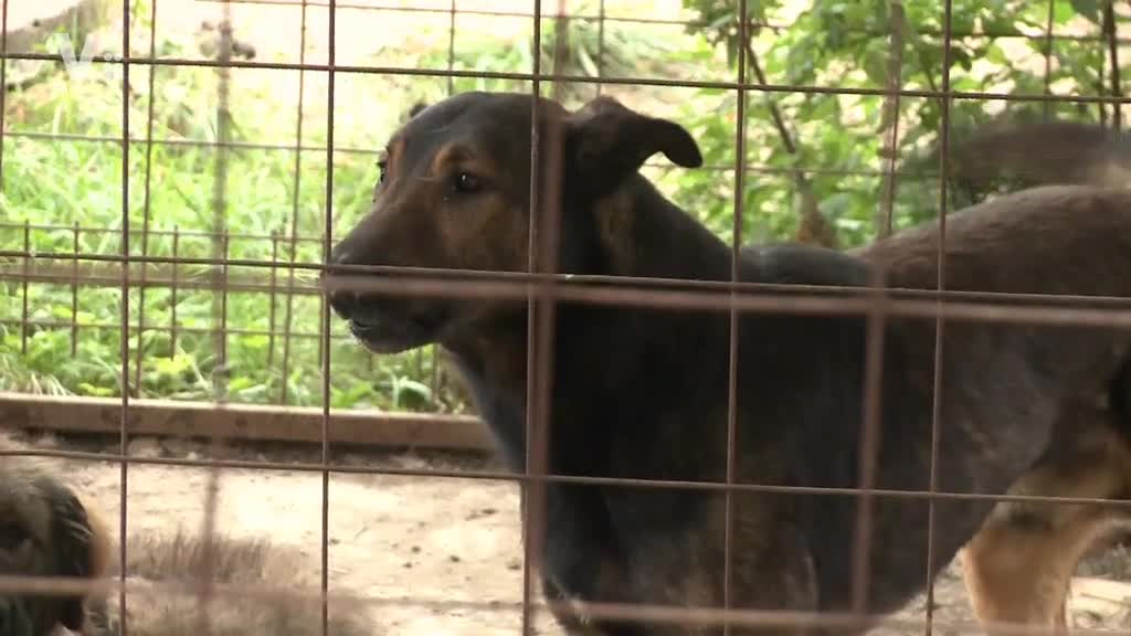Východočeské zprávy