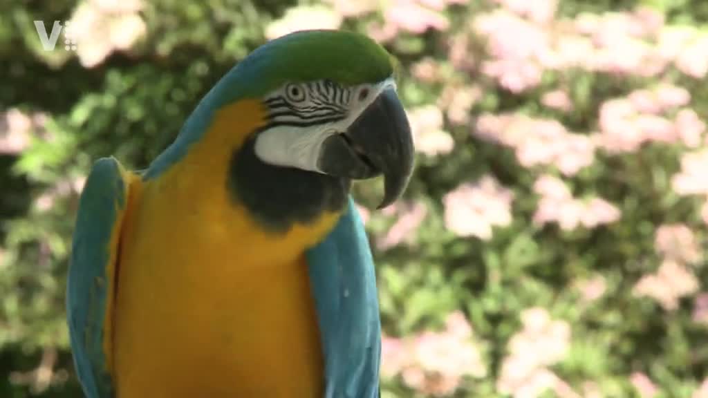 Východočeské zprávy