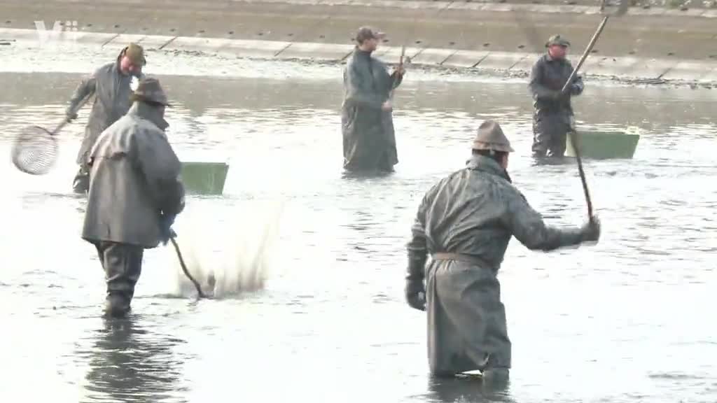 Východočeské zprávy