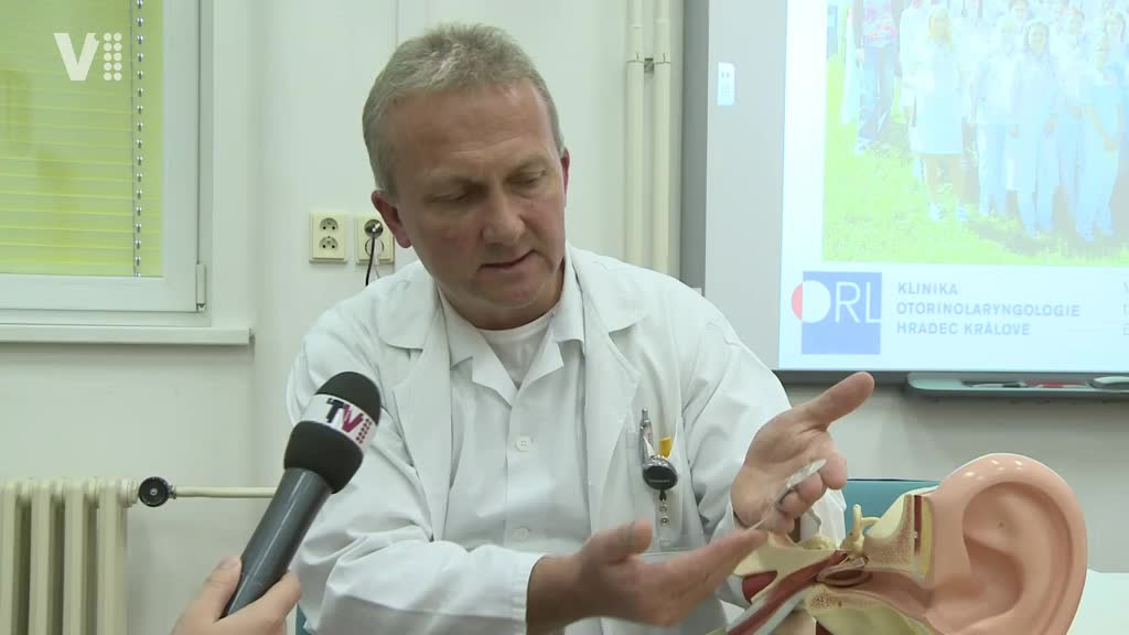 Východočeské zprávy