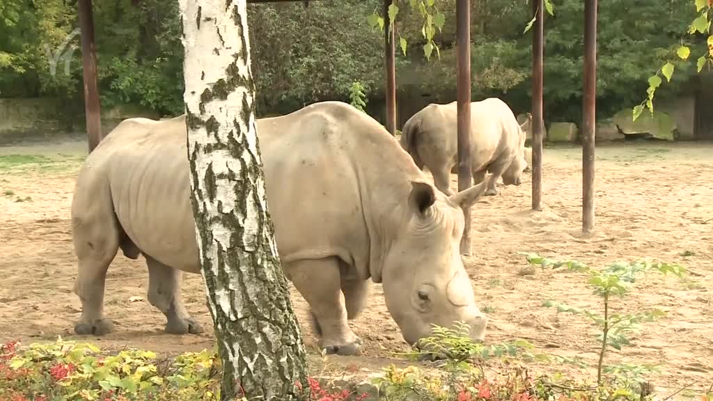 Východočeské zprávy