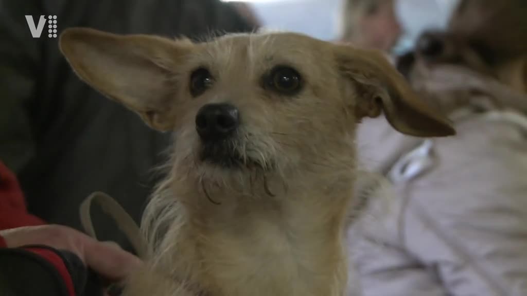 Východočeské zprávy