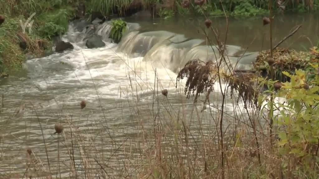 Východočeské zprávy