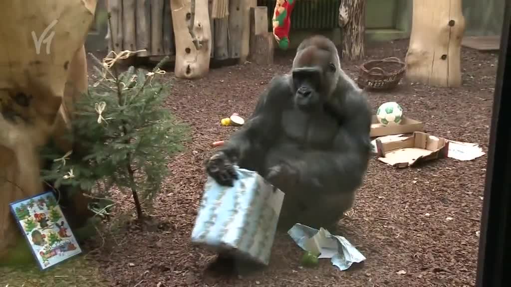 Východočeské zprávy