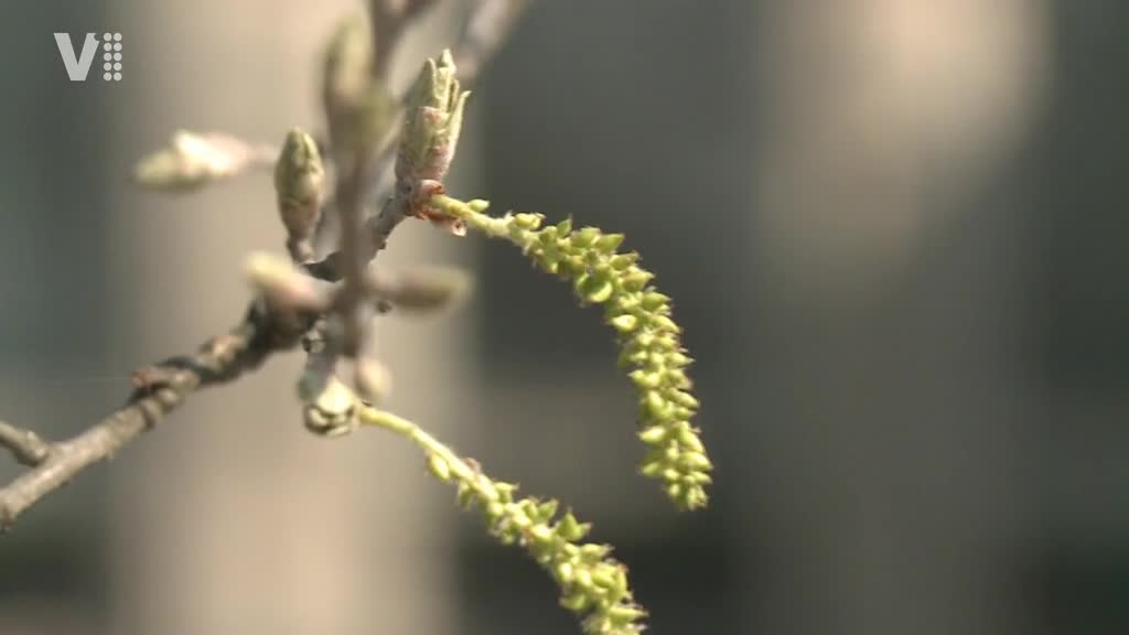 Východočeské zprávy