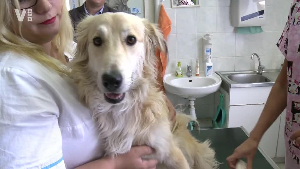 Východočeské zprávy