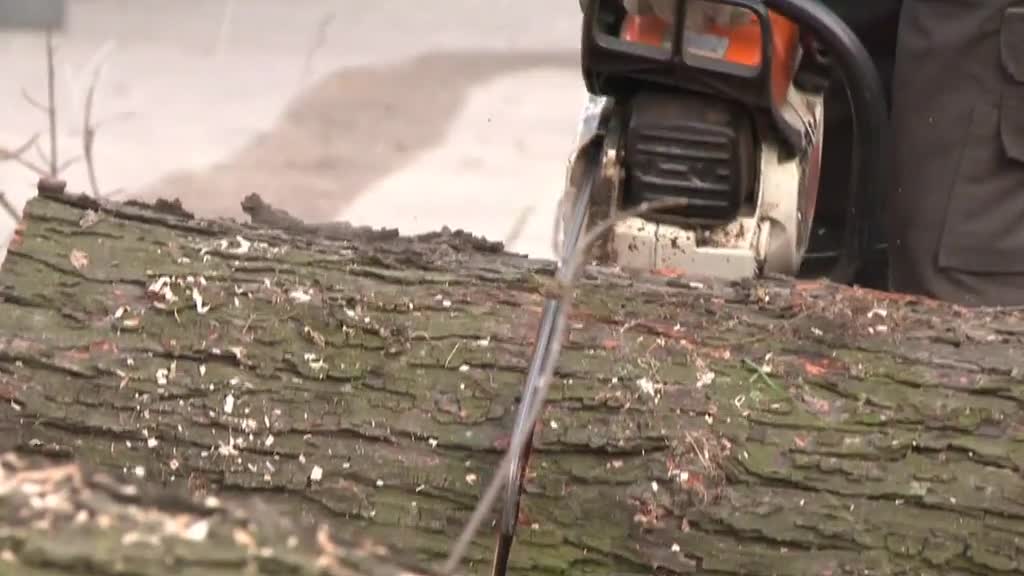 Východočeské zprávy