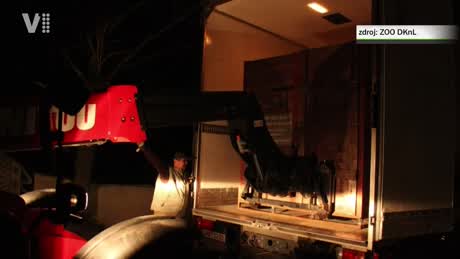 Východočeské zprávy