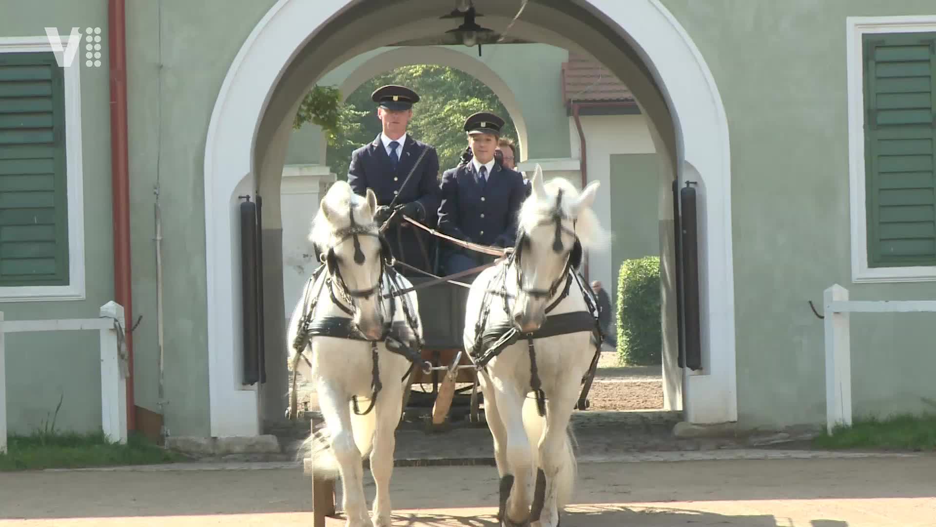 Východočeské zprávy