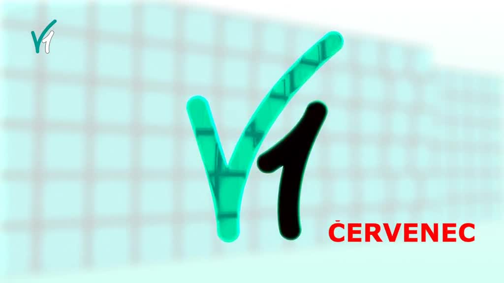 Zpravodajský souhrn