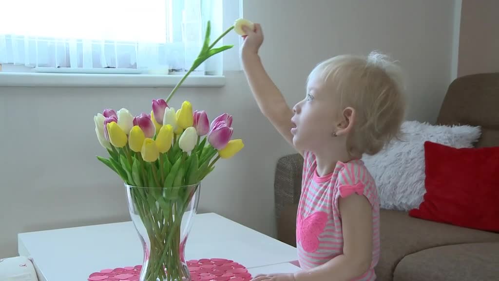 Východočeské zprávy