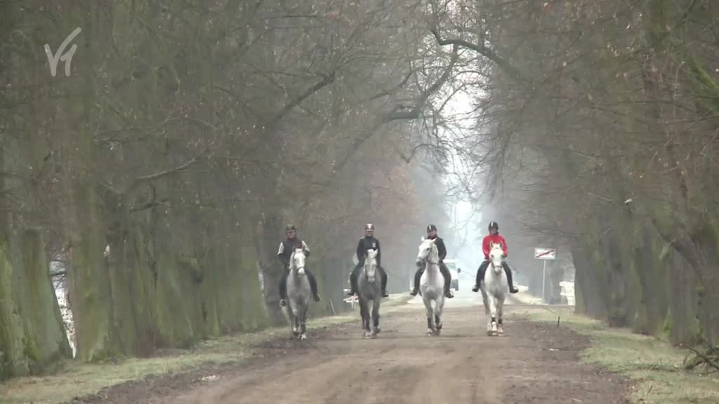 Východočeské zprávy