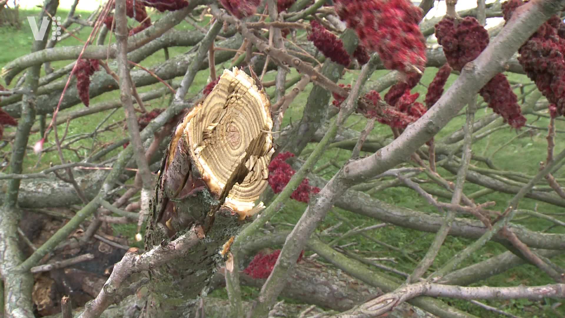 Východočeské zprávy