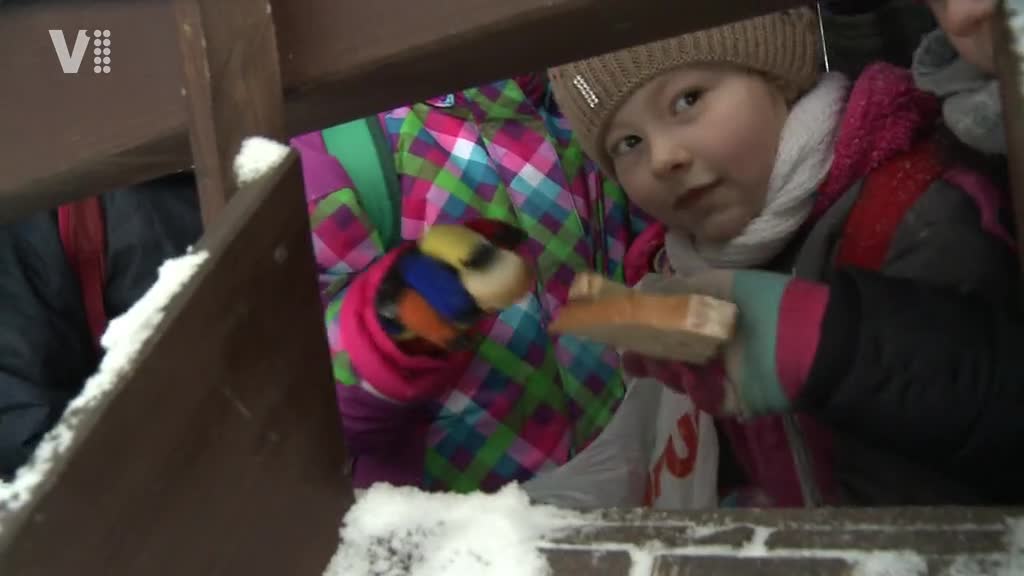 Východočeské zprávy