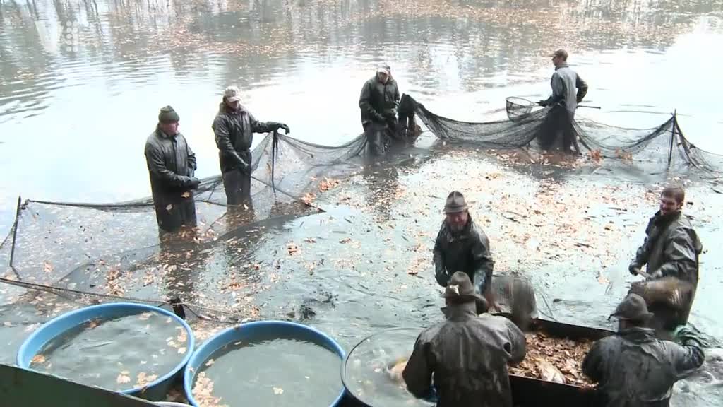 Východočeské zprávy